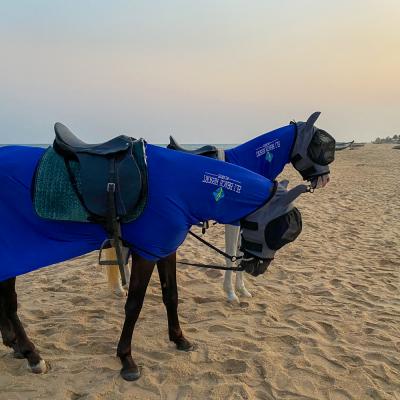 Eli Horses 