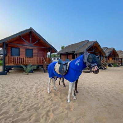Luxury Chalet